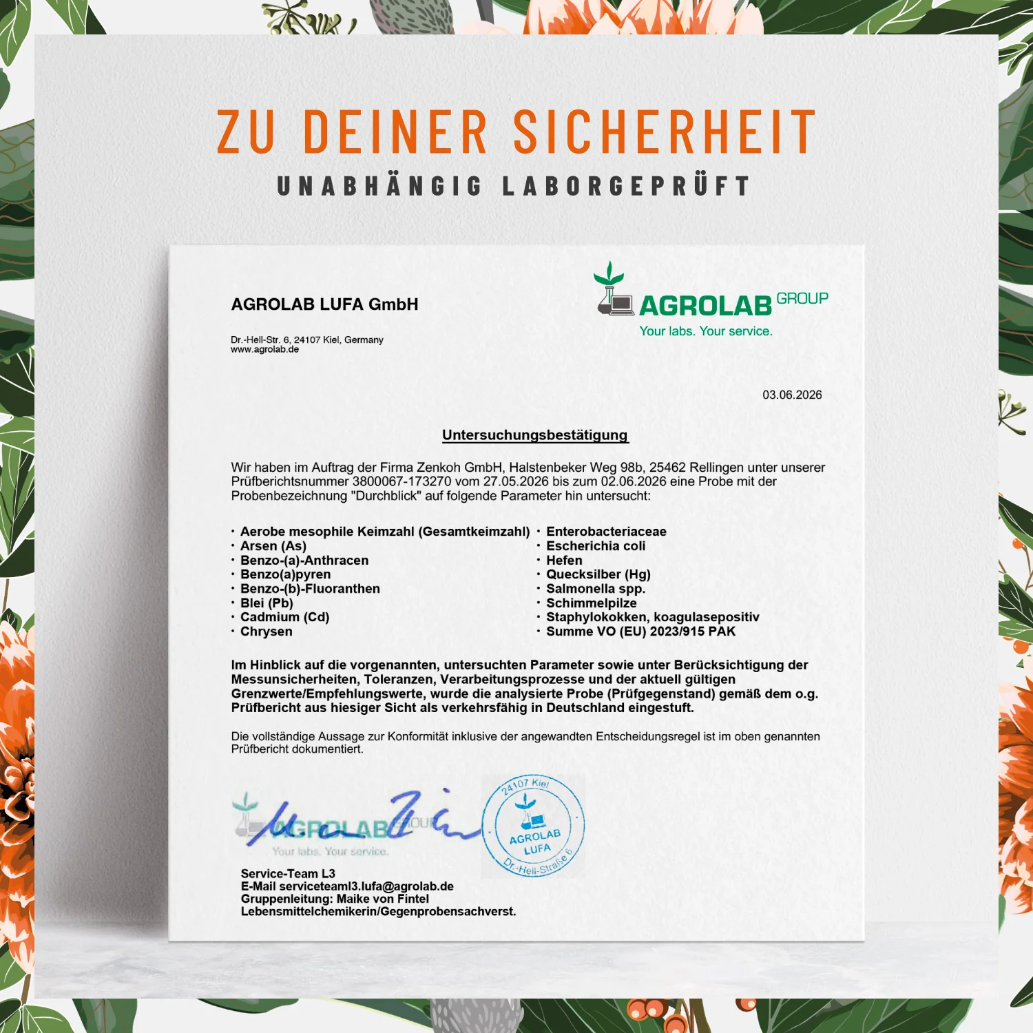 Durchblick: Augenvitamine mit Lutein und Vitamin A - Image 7