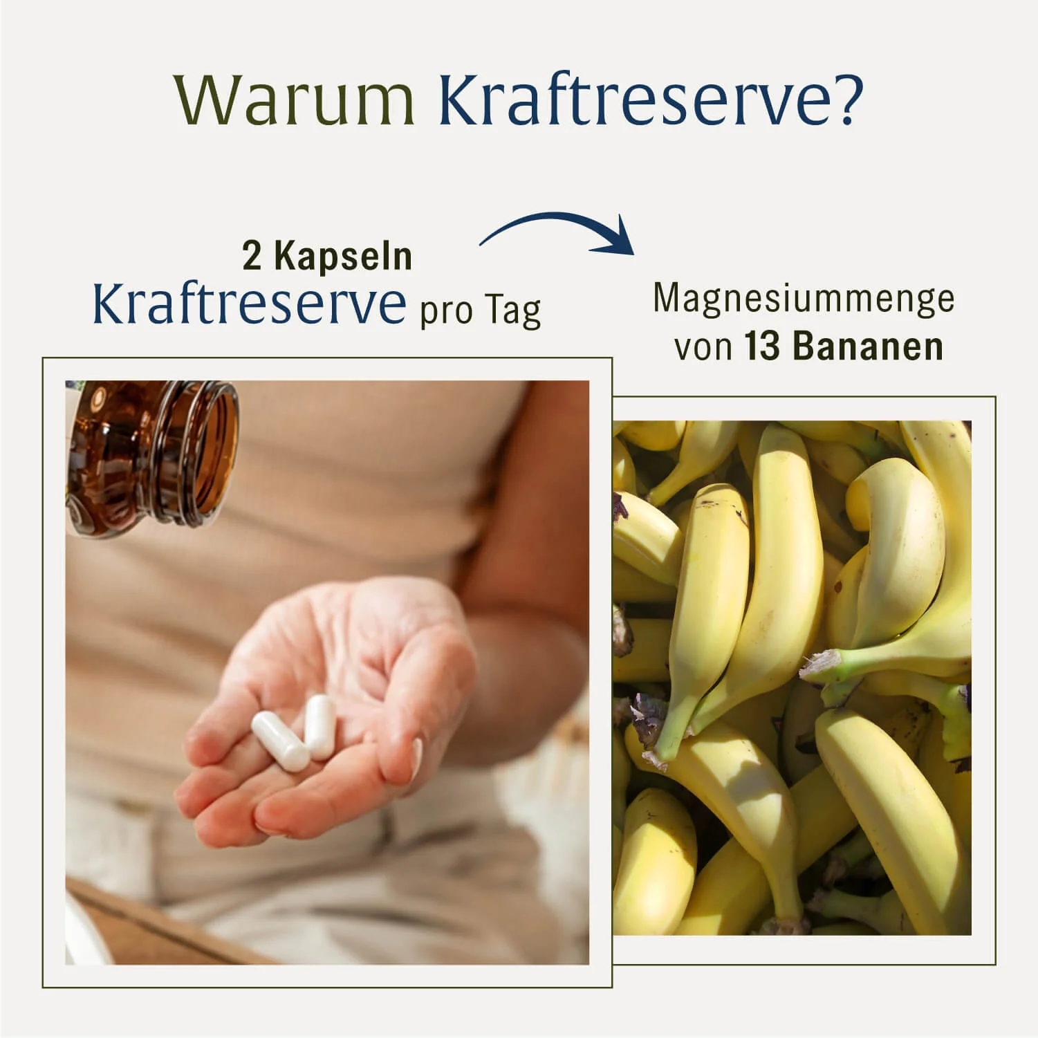 Sport-Paket: Kraftreserve & Aminokraft - Image 4