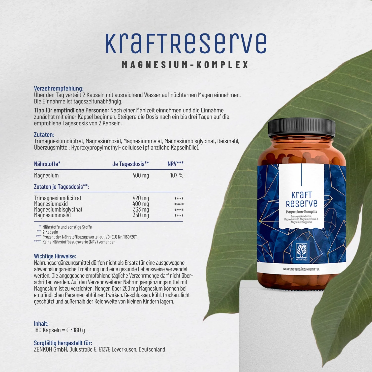 Durchstarter Paket: Magnesium & Vitamin B-Komplex & Omega-3 - Image 9