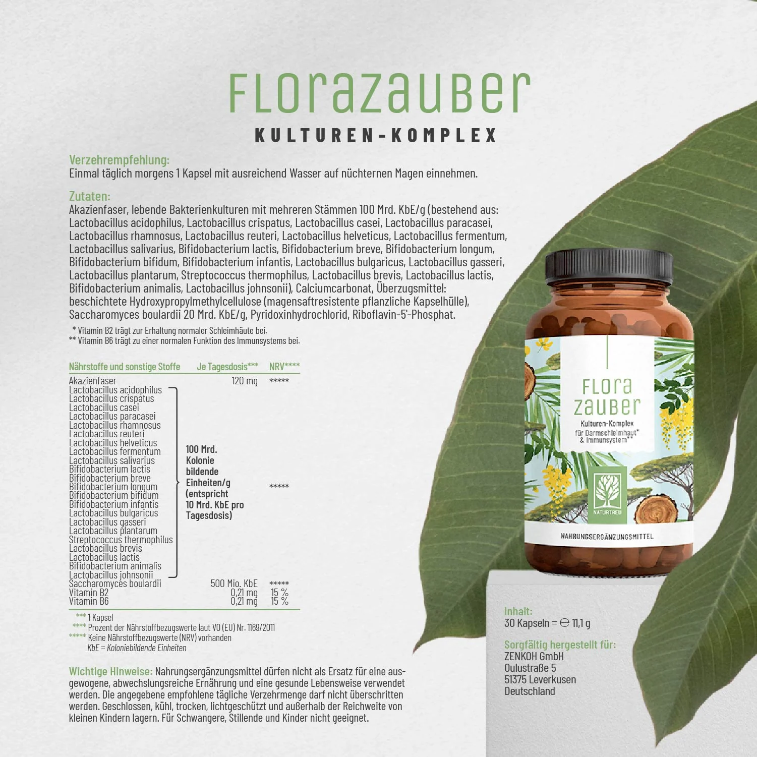 Florazauber Small: Kulturen-Komplex für Darmschleimhaut* & Immunsystem** - Image 10
