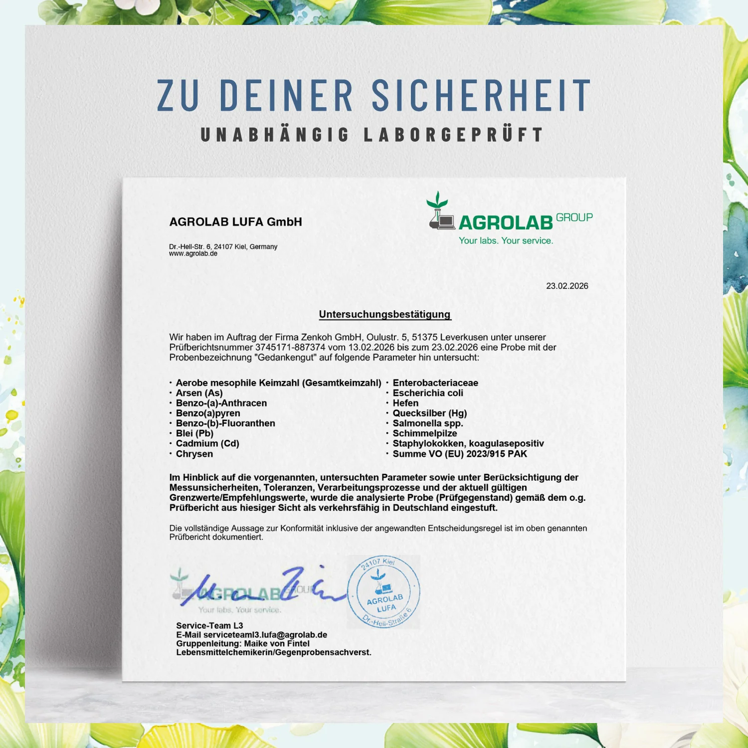 Gedankengut: Löwenmähne, Brahmi, Ginkgo, Cystein, Cholin & B-Vitamine - Image 9