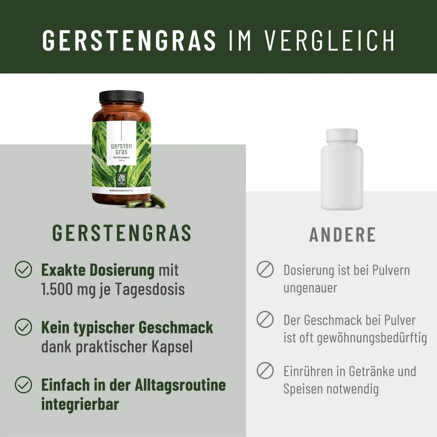 Gerstengras: Bio-Gerstengras - Image 5