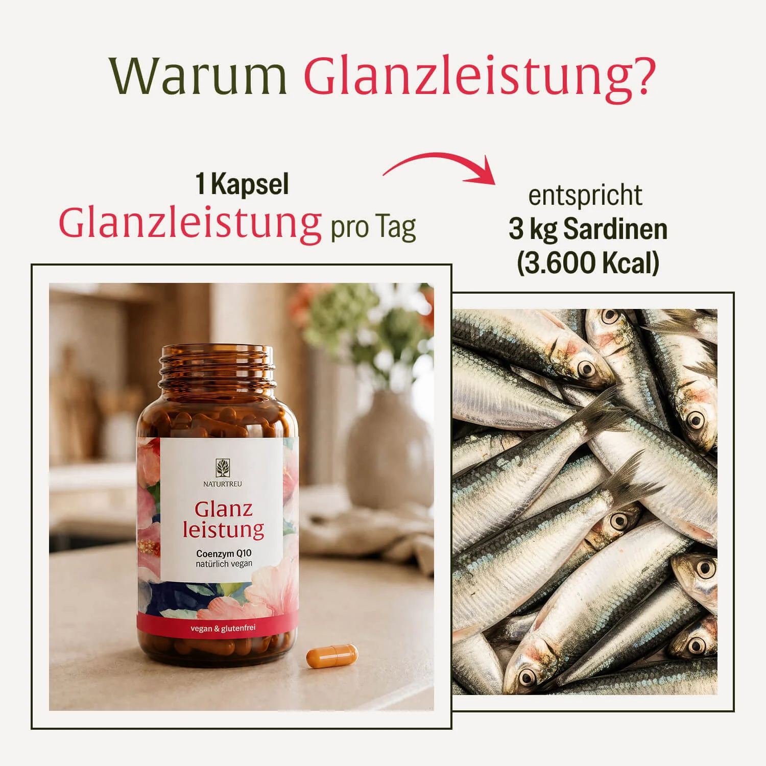 Glanzleistung: Coenzym Q10 - Image 7