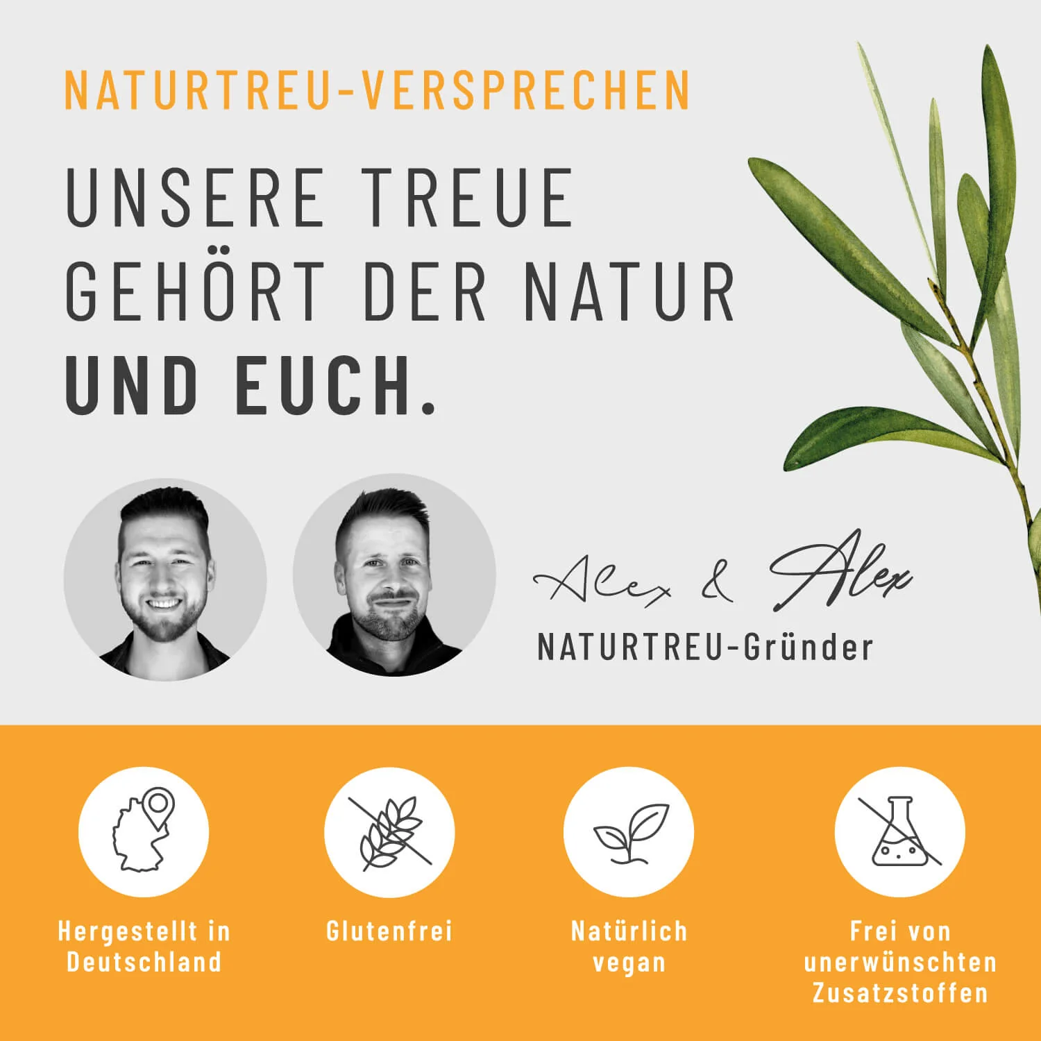 Goldelixier: Goldene Milch mit Kurkuma, Zimt, Lucuma & Ashwagandha - Image 7