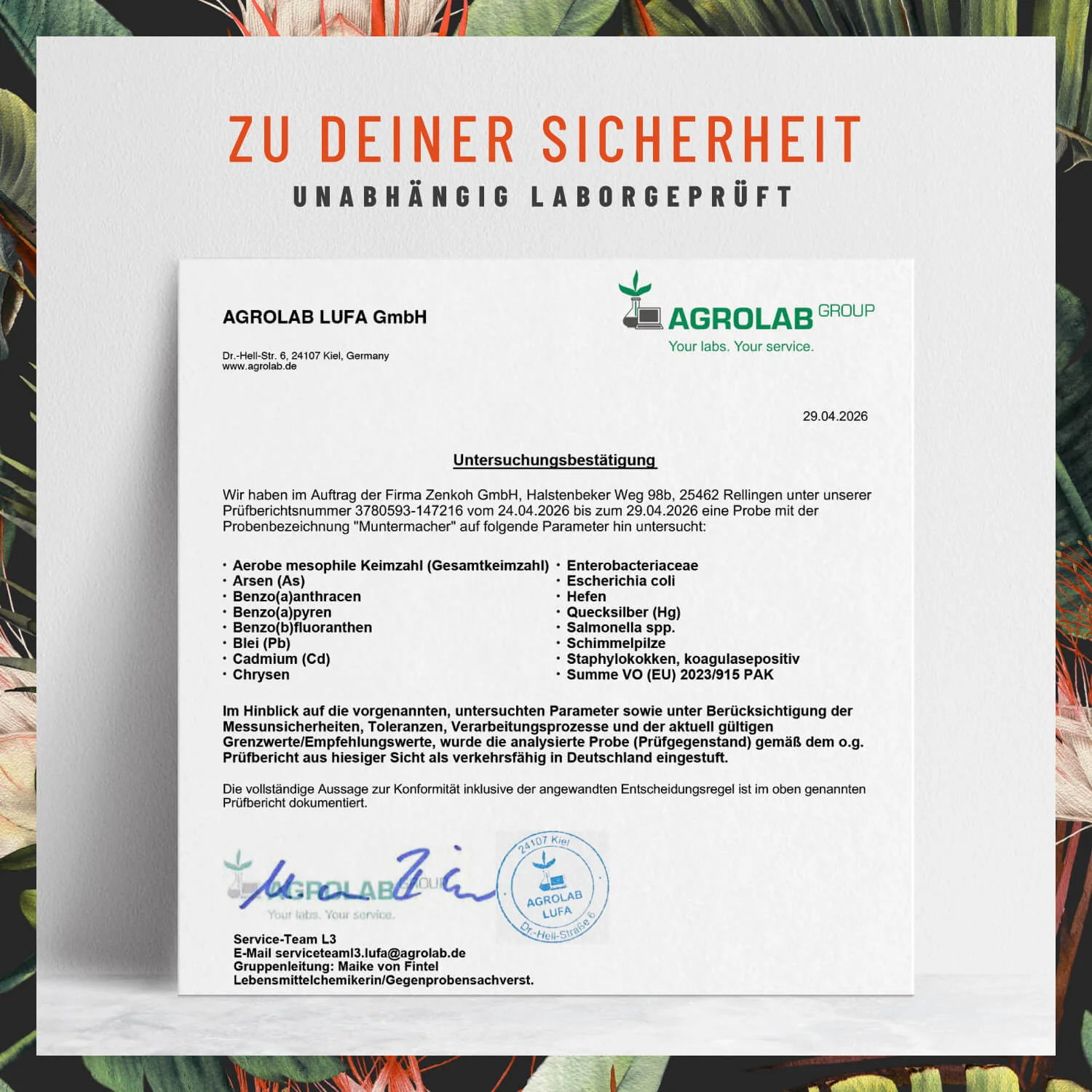 Muntermacher: Koffein-Komplex mit Guarana & Mate - Image 8