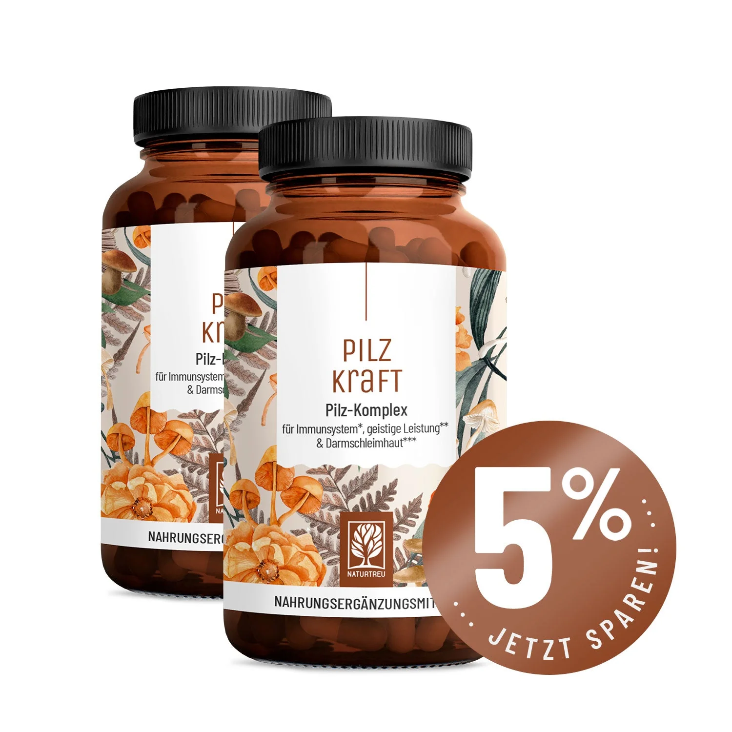 Pilzkraft: Reishi, Shiitake, Chaga & Löwenmähne - Image 12