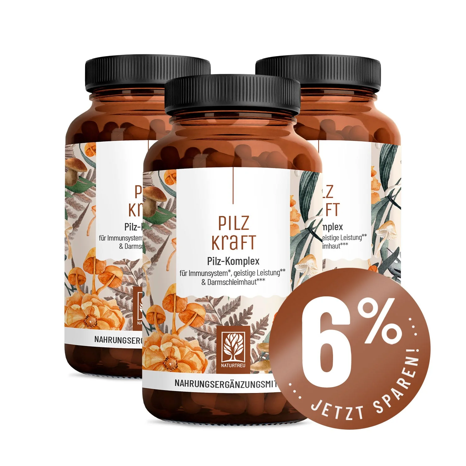 Pilzkraft: Reishi, Shiitake, Chaga & Löwenmähne - Image 13