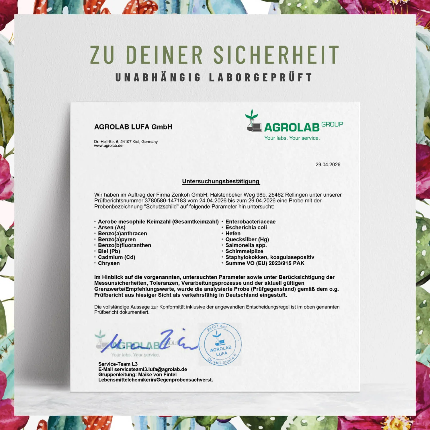 Schutzschild: Immun-Komplex mit Echinacea - Image 8
