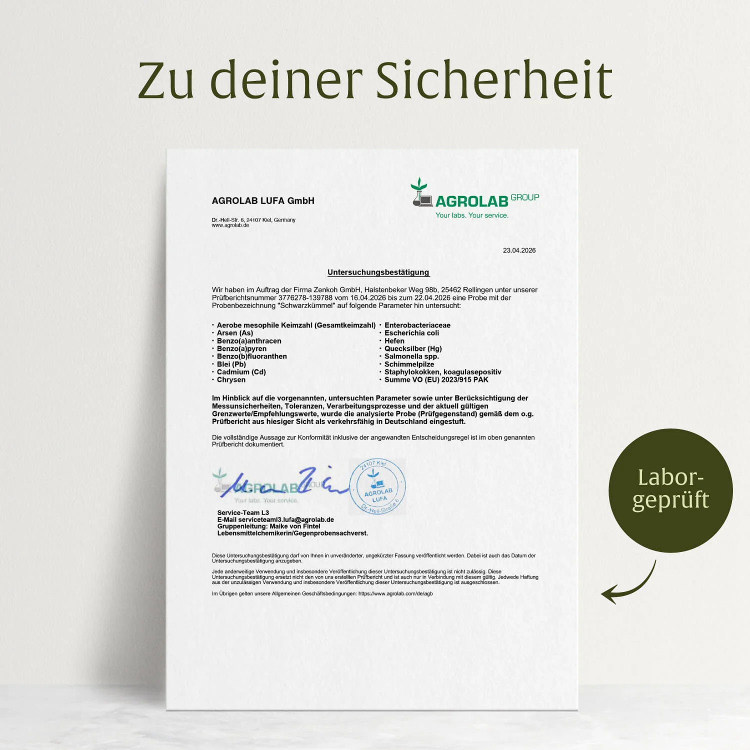 Schwarzkümmel: Schwarzkümmelöl aus Syrien - Image 9