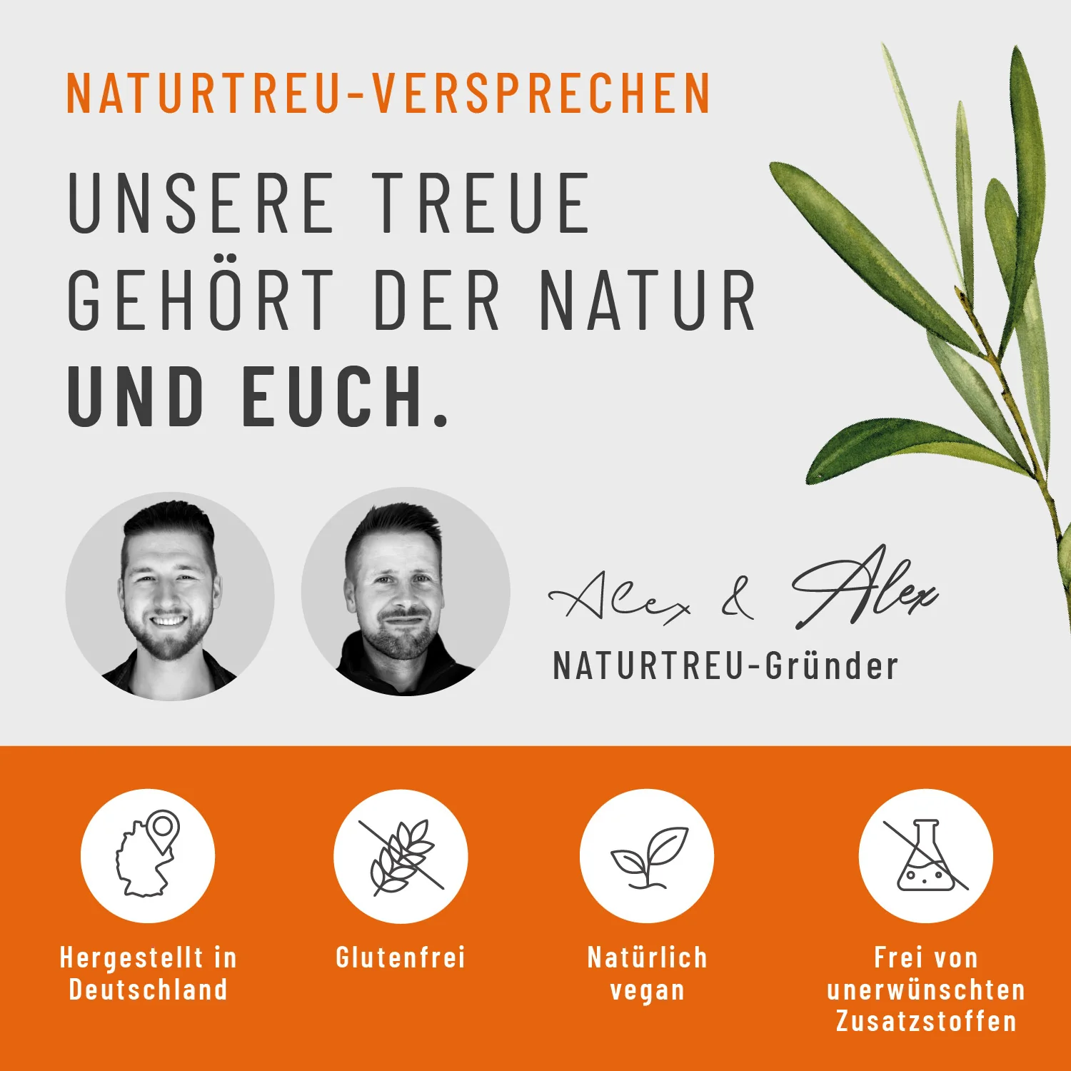 Sommerglanz: Beta-Carotin - Image 6