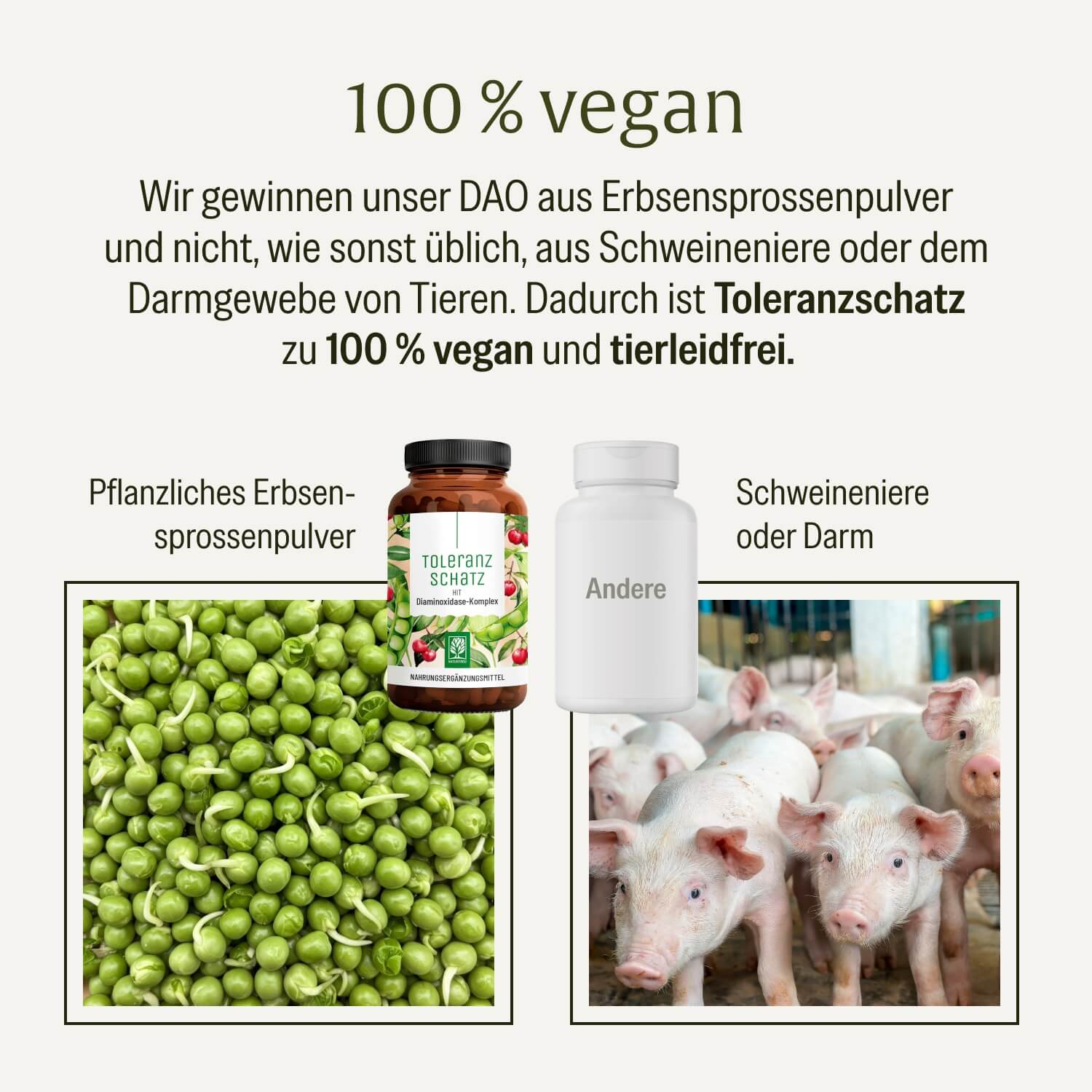 Toleranzschatz: HIT Diaminoxidase (DAO) Komplex - Image 7