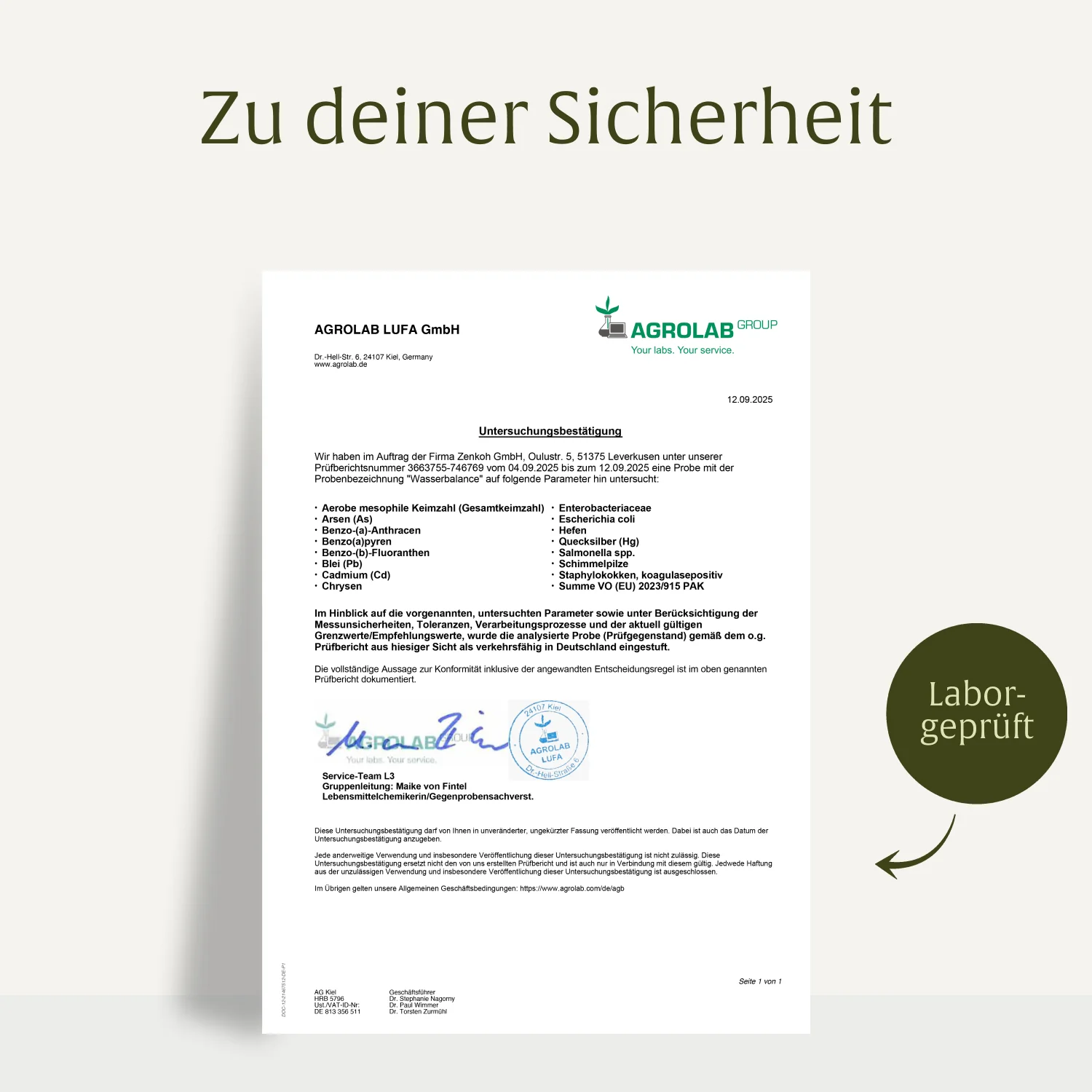 Wasserbalance: Brennnesselblatt-Komplex - Image 8