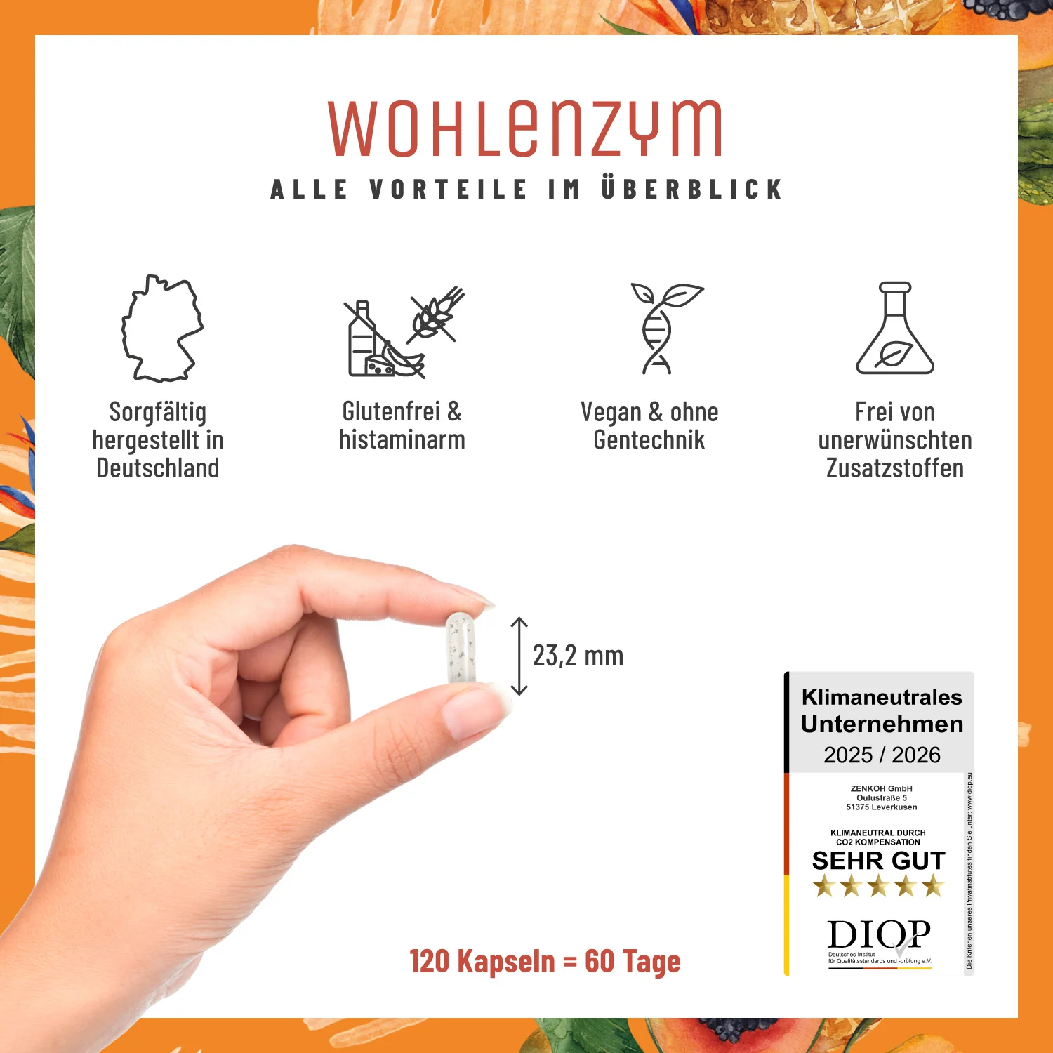 Wohlenzym - Enzym-Komplex mit Bromelain & Papain - Image 8