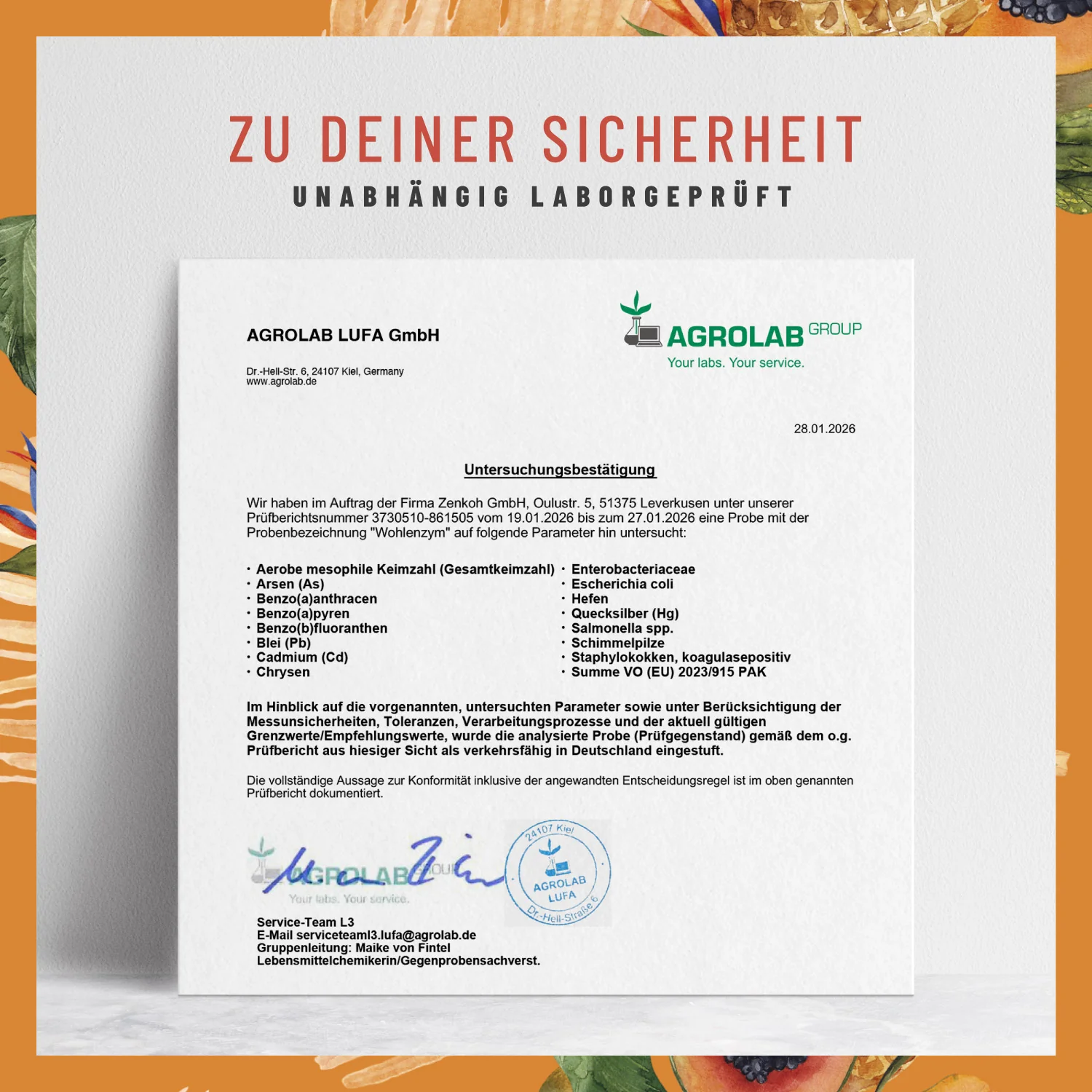 Wohlenzym - Enzym-Komplex mit Bromelain & Papain - Image 9